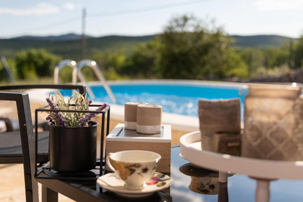Holiday Home Sego With Private Pool Veliki Brocanac Zewnętrze zdjęcie